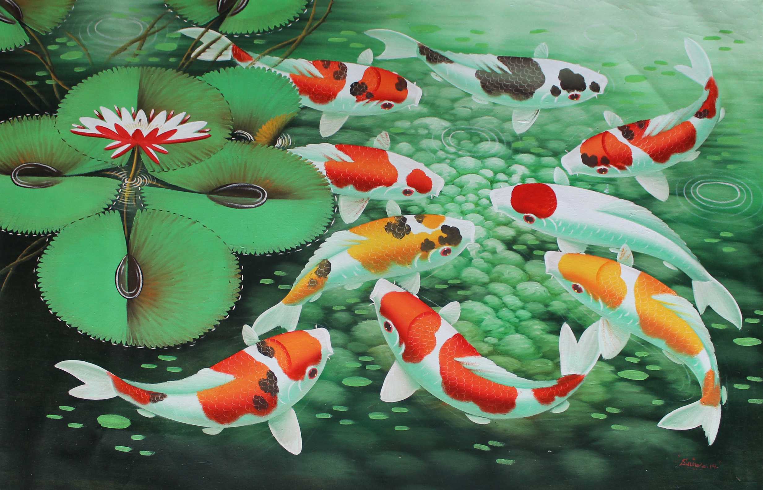 Detail Koi Wallpaper Hd Nomer 35