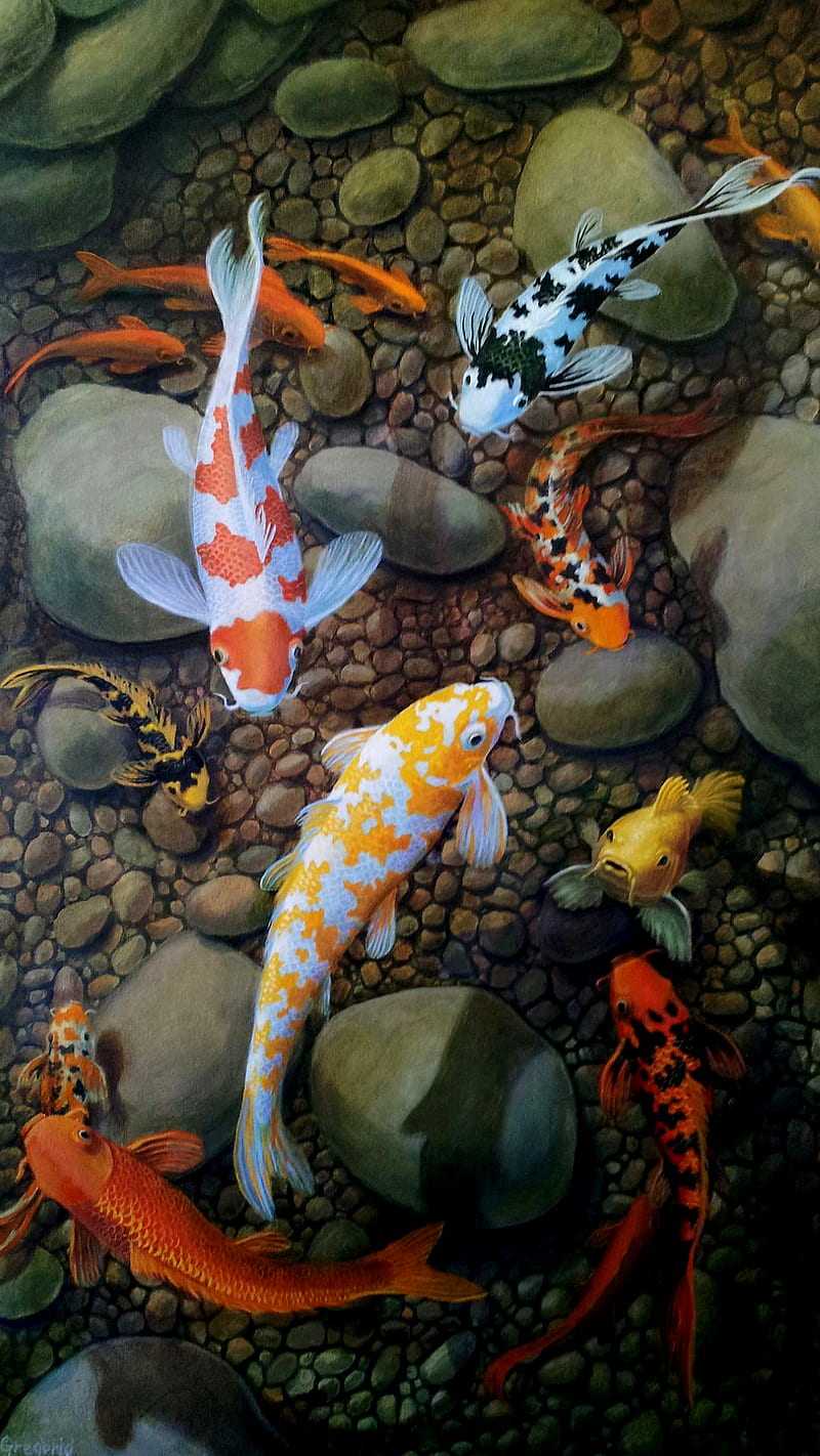 Detail Koi Wallpaper Hd Nomer 36