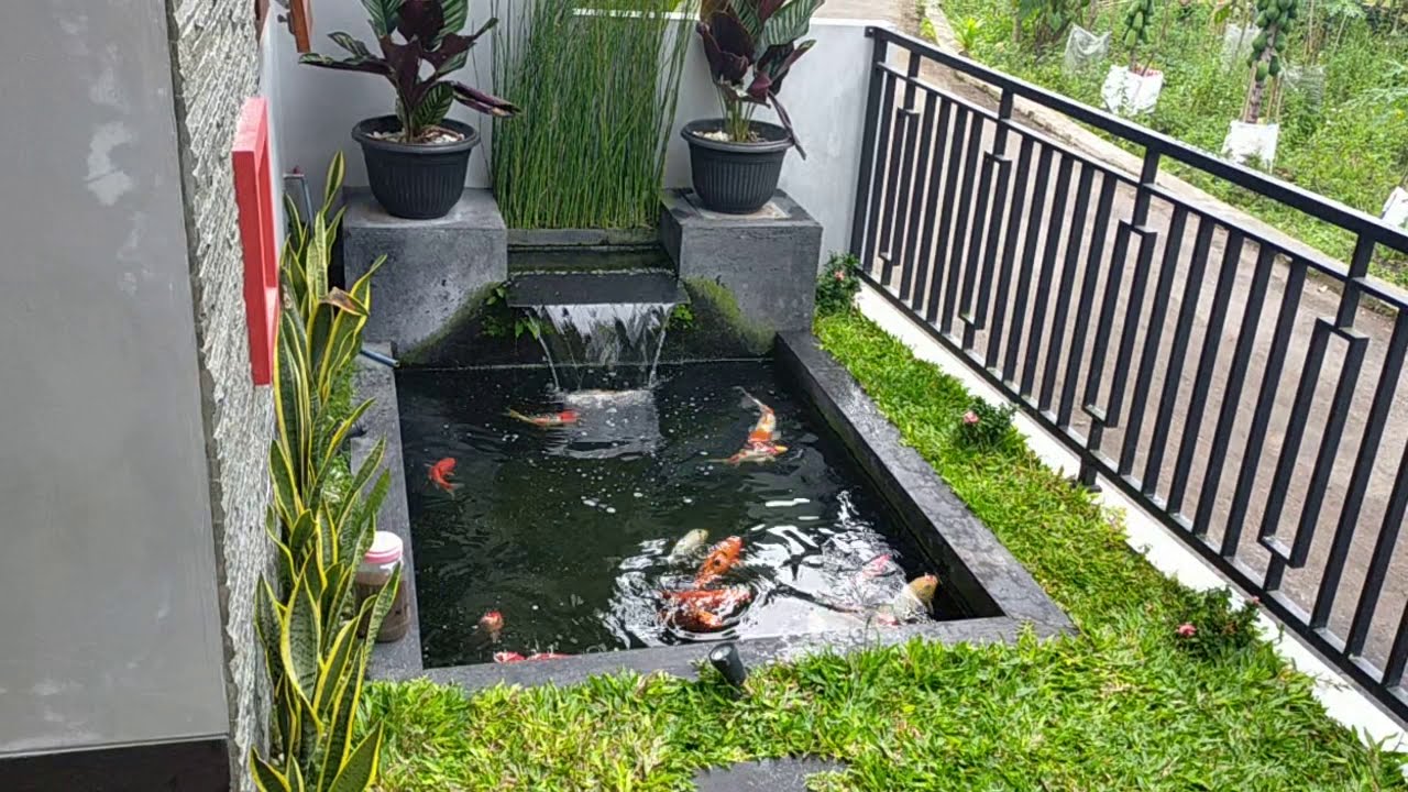 Detail Kolam Depan Rumah Nomer 35