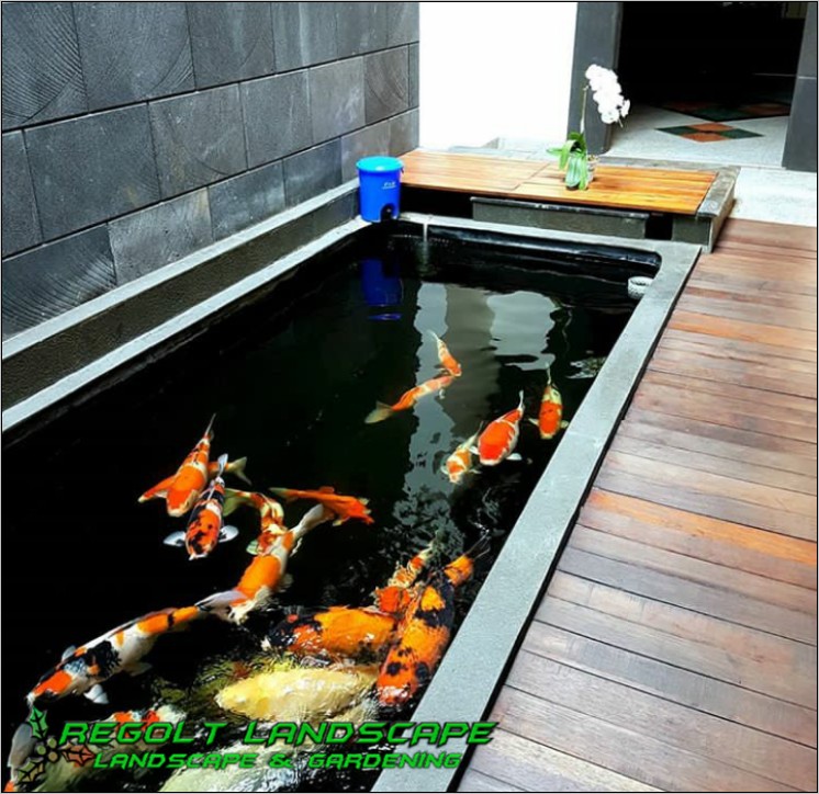 Detail Kolam Ikan Depan Teras Rumah Nomer 45