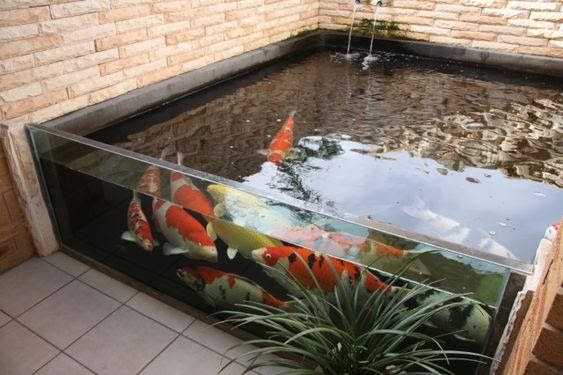 Detail Kolam Ikan Di Atas Rumah Nomer 12