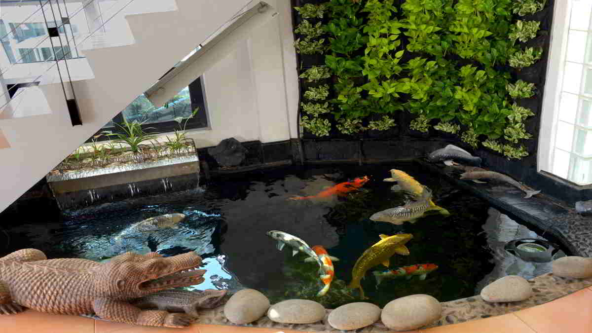 Detail Kolam Ikan Di Dalam Rumah Minimalis Nomer 51