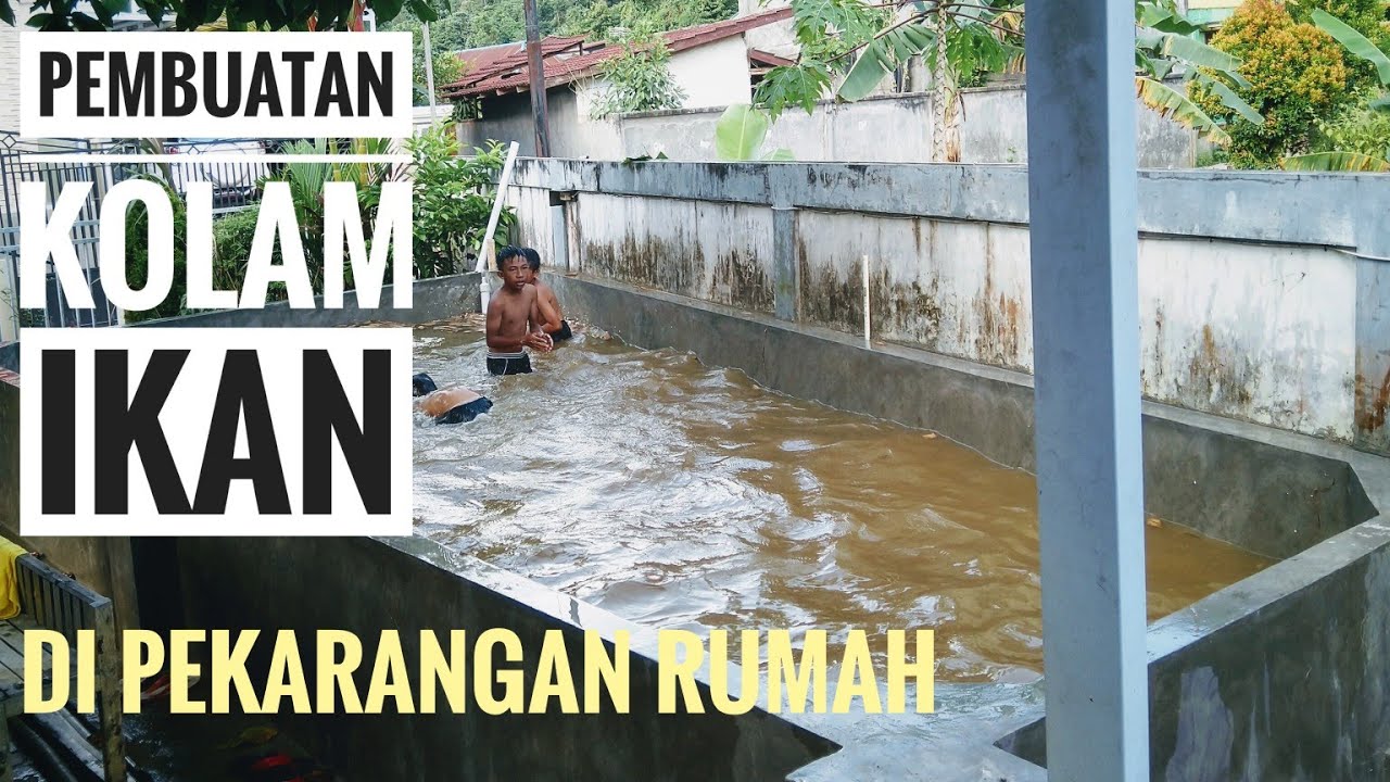 Detail Kolam Ikan Di Pekarangan Rumah Nomer 38