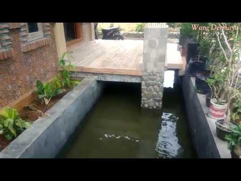 Detail Kolam Ikan Di Teras Rumah Nomer 31