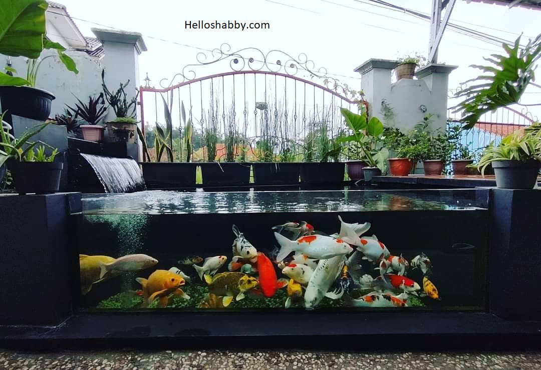 Detail Kolam Ikan Kaca Dalam Rumah Nomer 48