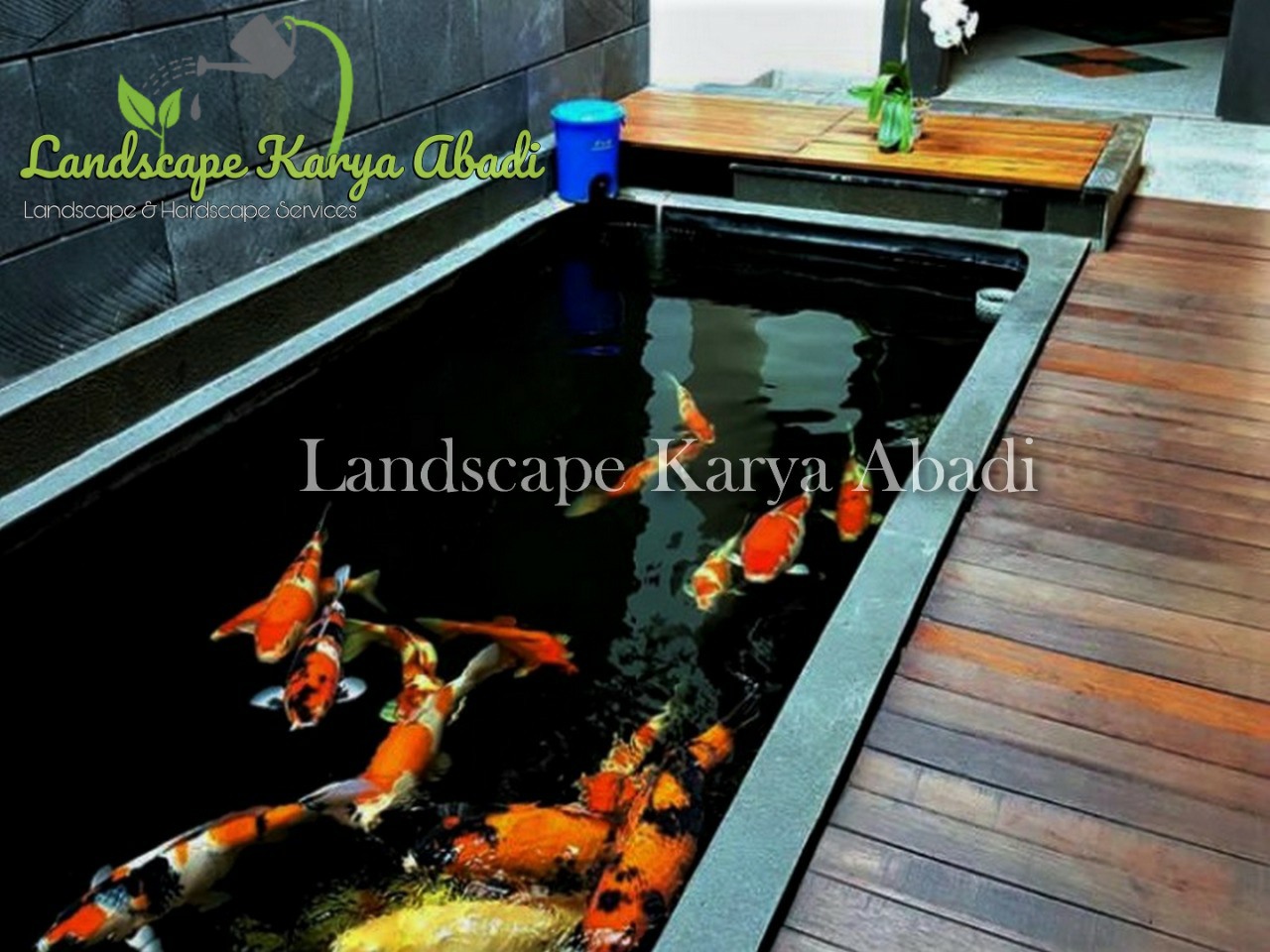 Detail Kolam Ikan Koi Dalam Rumah Nomer 34