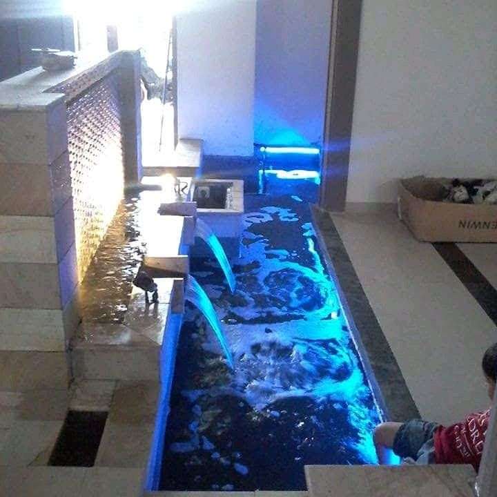 Detail Kolam Ikan Koi Dalam Rumah Nomer 36