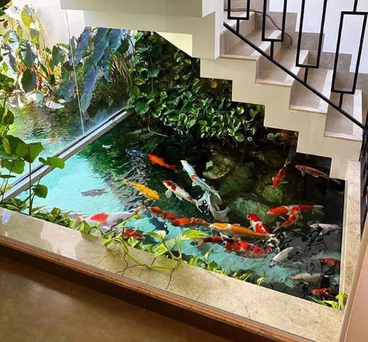 Detail Kolam Ikan Koi Di Dalam Rumah Nomer 34