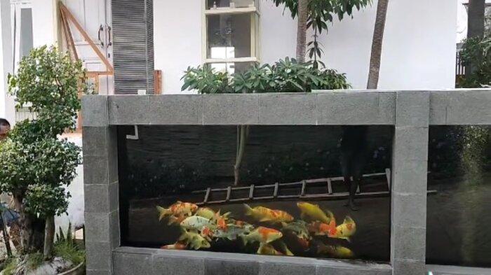 Detail Kolam Ikan Koi Di Dalam Rumah Nomer 43