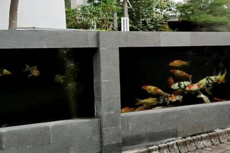 Detail Kolam Ikan Koi Di Dalam Rumah Nomer 45