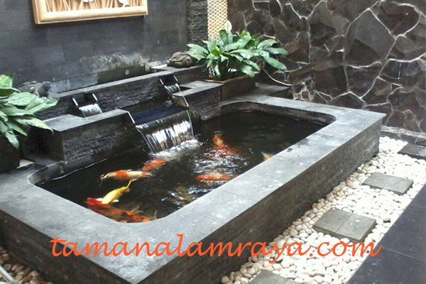 Detail Kolam Ikan Koi Minimalis Nomer 26