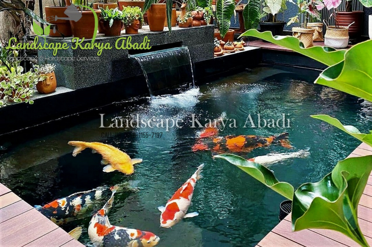 Detail Kolam Ikan Koi Minimalis Nomer 36