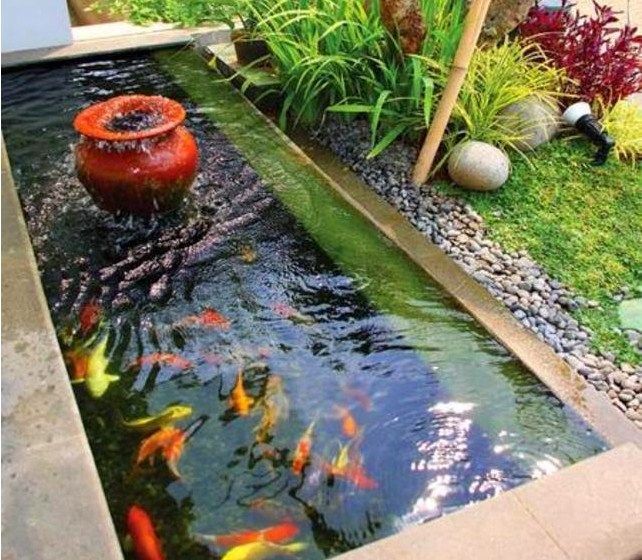 Detail Kolam Ikan Koi Minimalis Depan Rumah Nomer 7