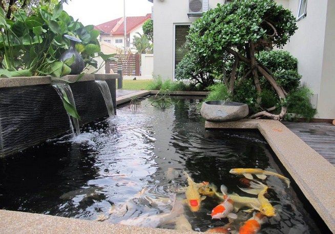 Detail Kolam Ikan Mini Depan Rumah Nomer 32