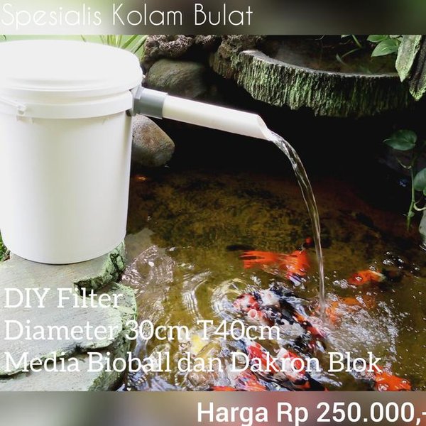 Detail Kolam Ikan Mini Diy Nomer 28