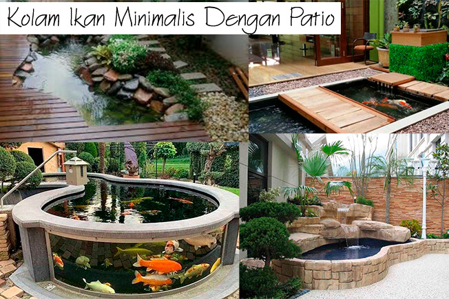 Detail Kolam Ikan Mini Diy Nomer 54