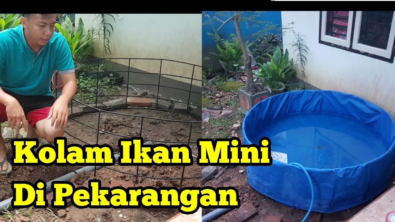 Detail Kolam Ikan Mini Diy Nomer 7