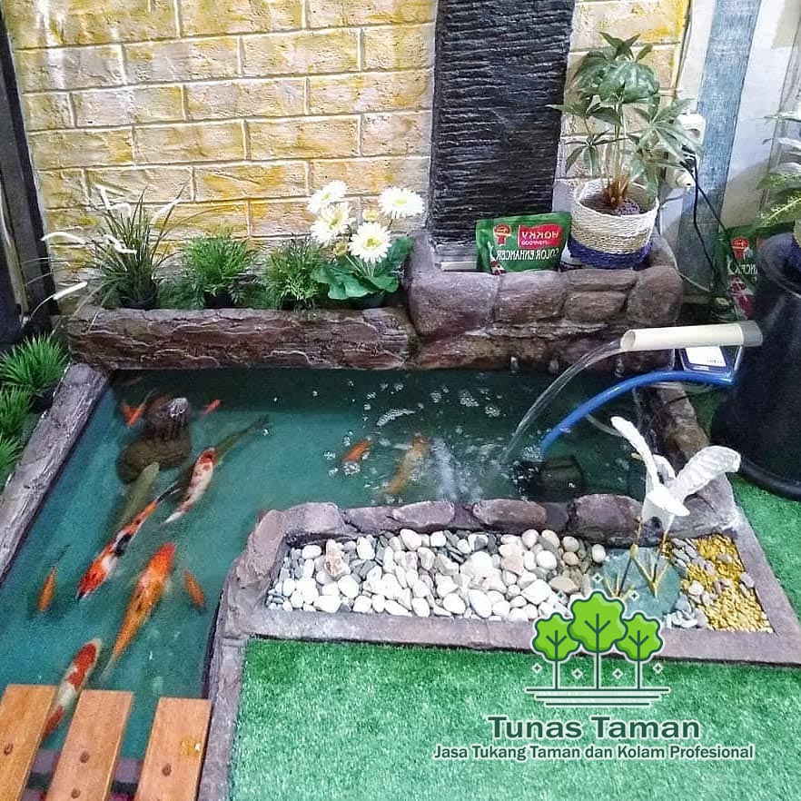 Detail Kolam Ikan Minimalis Di Sudut Rumah Nomer 55