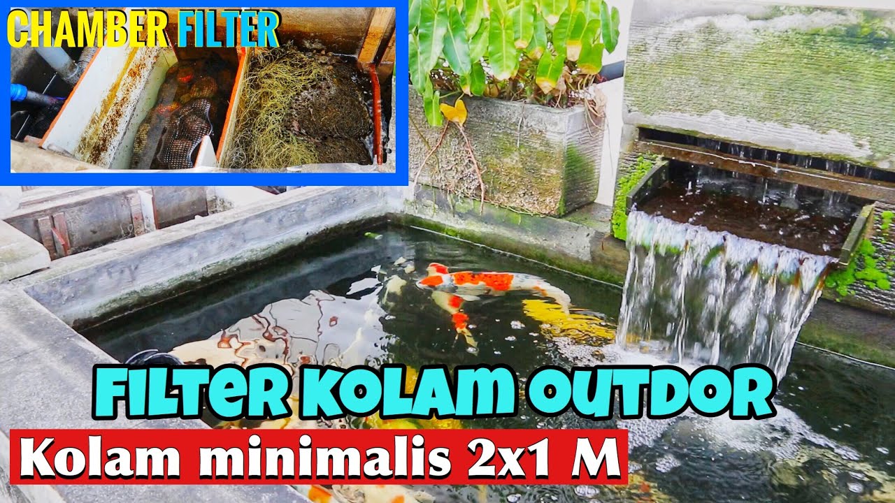 Detail Kolam Ikan Outdoor Minimalis Nomer 39