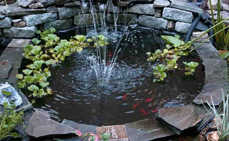 Detail Kolam Ikan Rumah Nomer 37