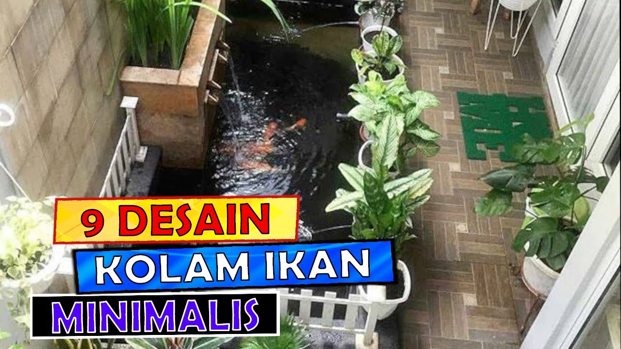 Detail Kolam Ikan Rumah Minimalis Nomer 50