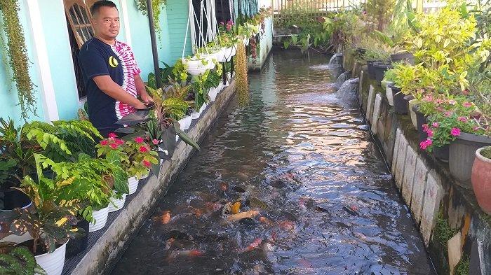 Detail Kolam Ikan Samping Rumah Nomer 27