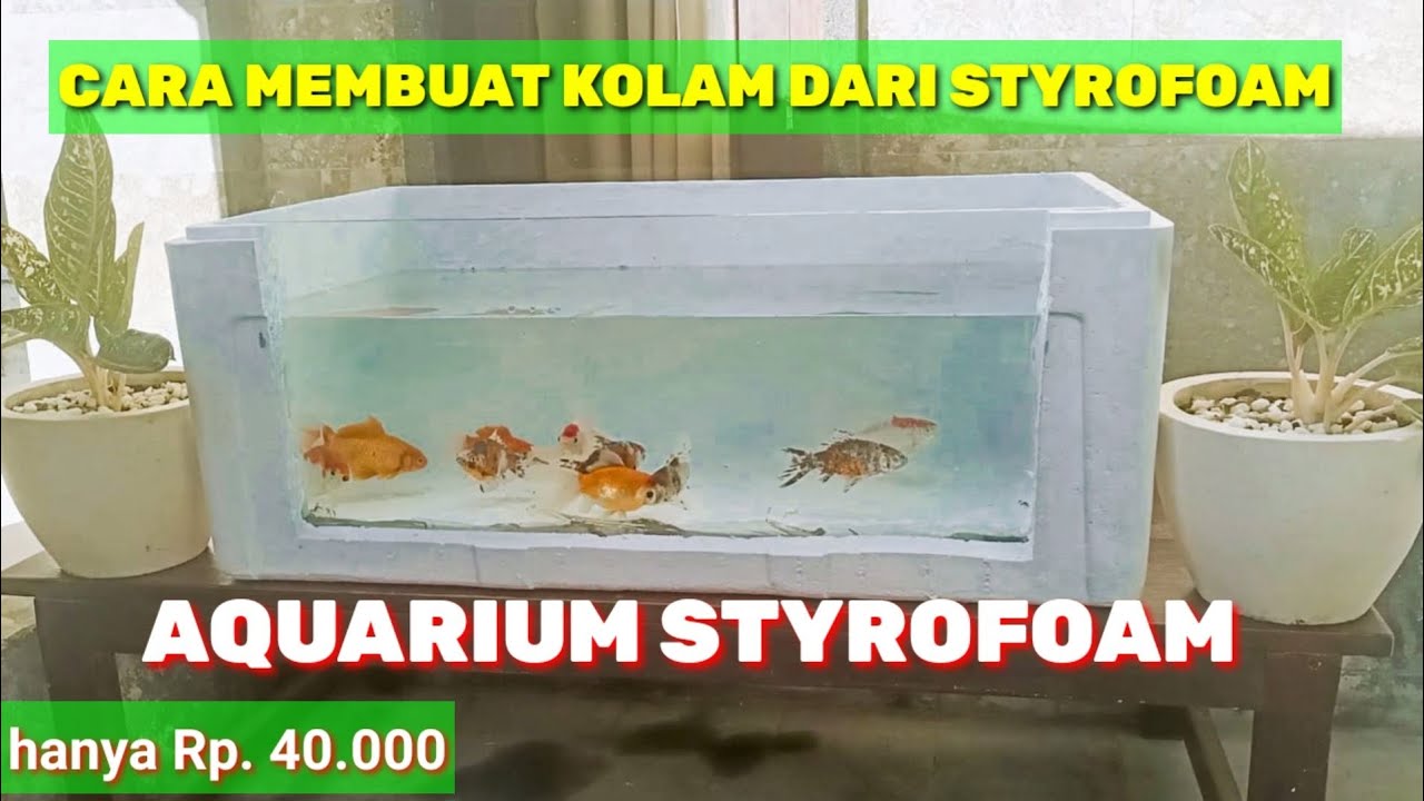 Detail Kolam Ikan Sterofoam Nomer 5