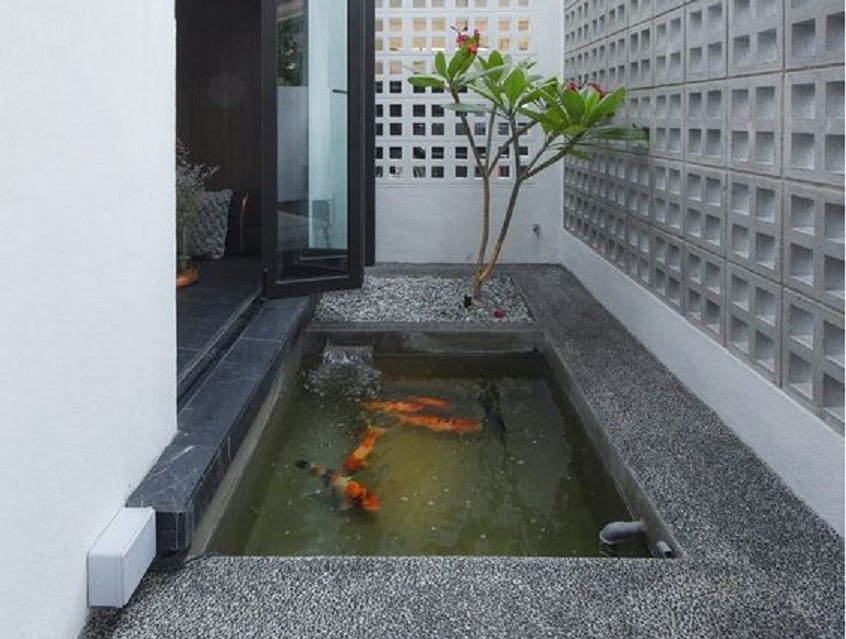 Detail Kolam Koi Minimalis Depan Rumah Nomer 18