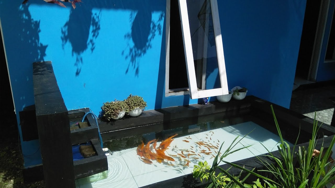 Detail Kolam Koi Minimalis Depan Rumah Nomer 20