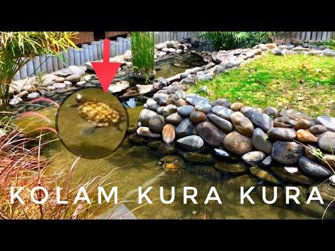 Detail Kolam Kura Kura Mini Nomer 38