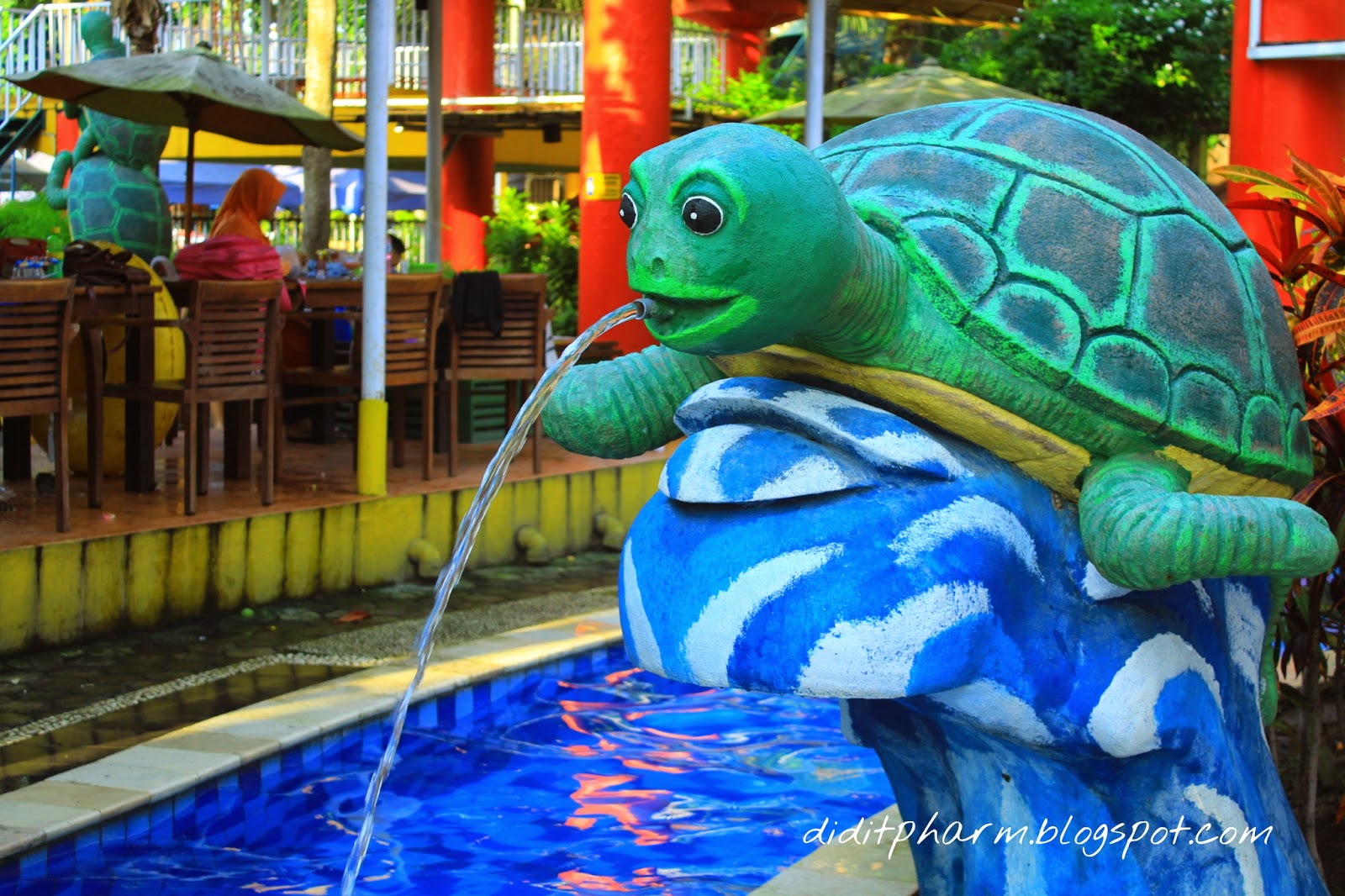 Detail Kolam Renang Kura Kura Nomer 3