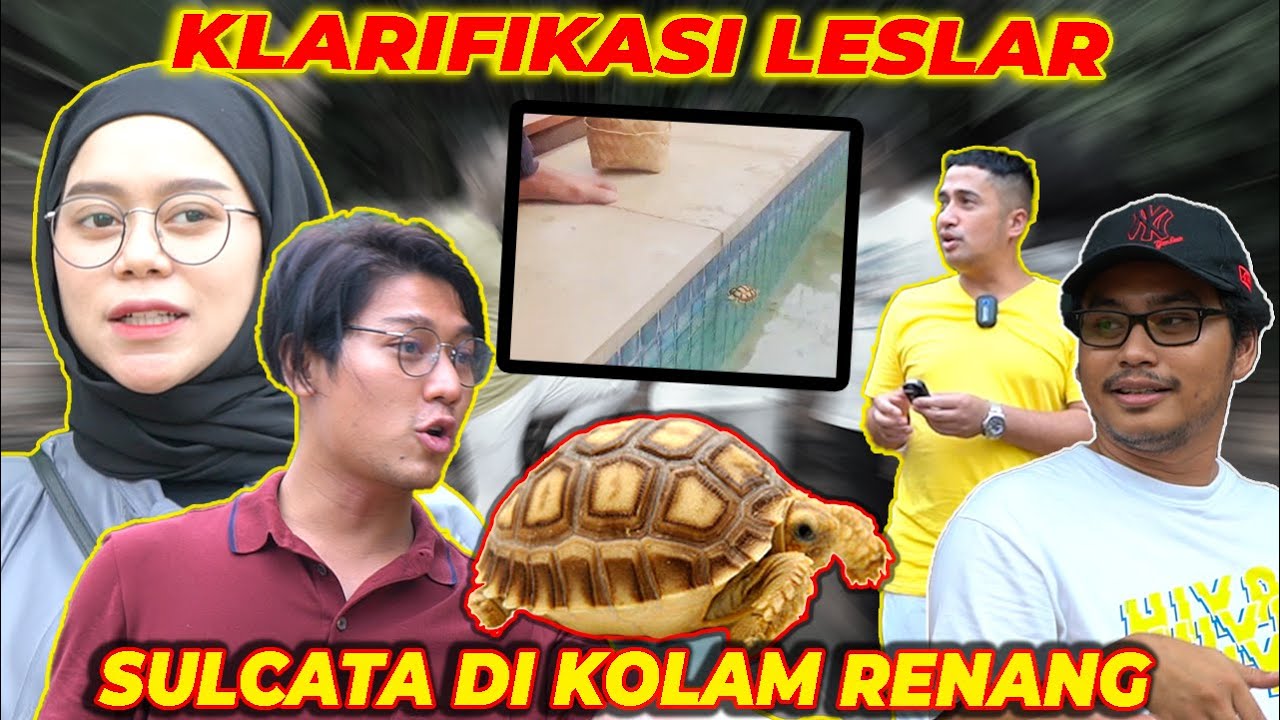 Download Kolam Renang Kura Kura Nomer 33