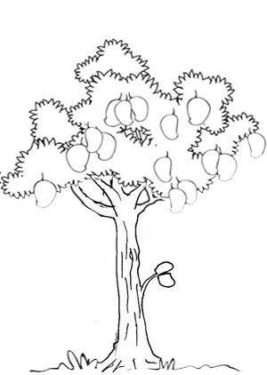 Detail Menggambar Pohon Mangga Nomer 53