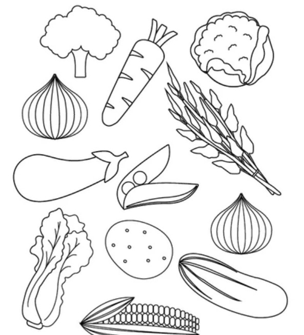 Detail Menggambar Sayur Sayuran Nomer 17