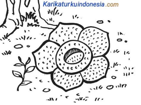 Detail Menggambar Sketsa Bunga Raflesia Nomer 16