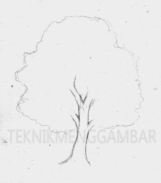 Detail Menggambar Sketsa Pohon Nomer 13