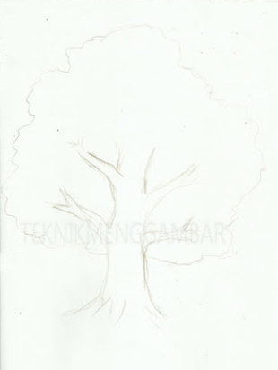 Detail Menggambar Sketsa Pohon Nomer 14