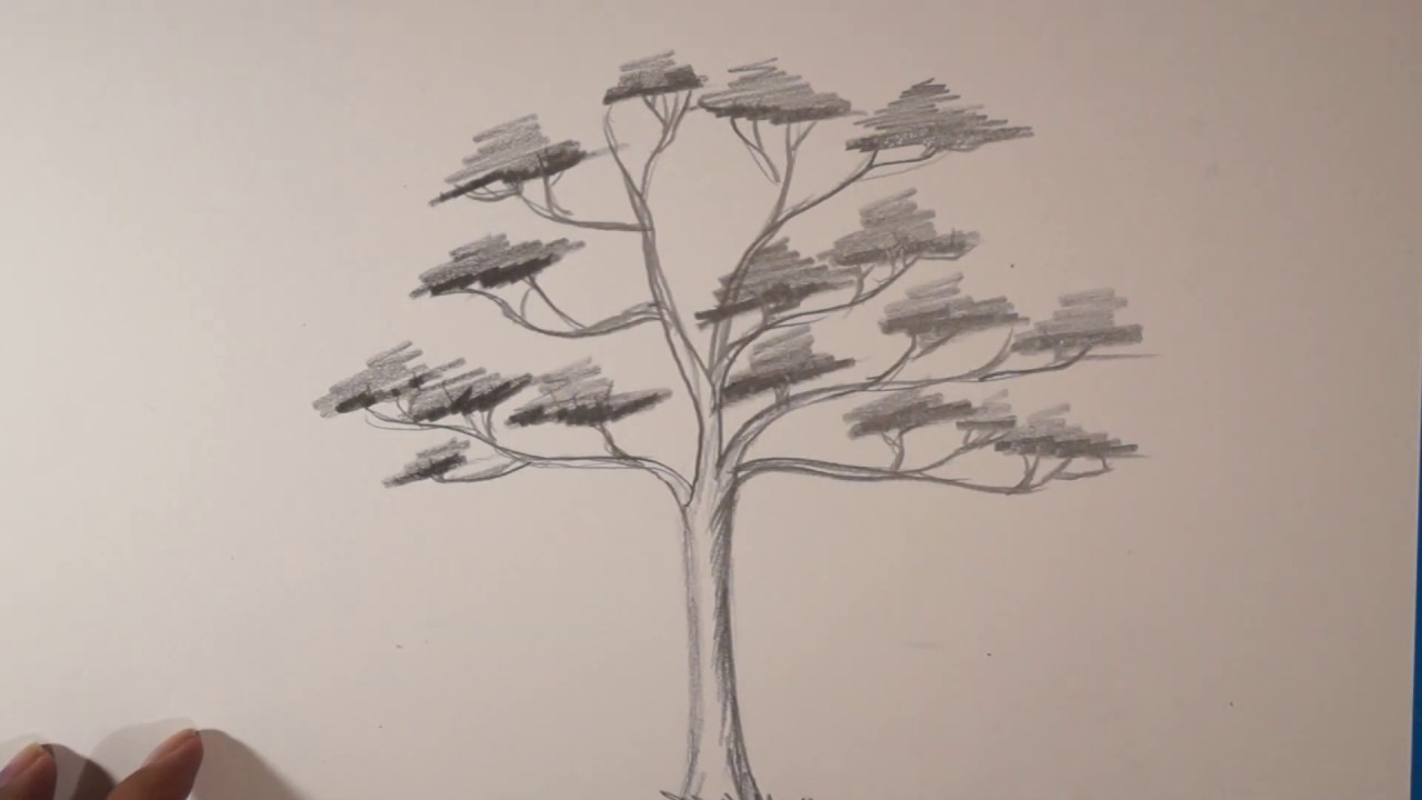 Detail Menggambar Sketsa Pohon Nomer 5