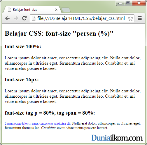 Detail Mengganti Ukuran Gambar Dengan Css Nomer 10