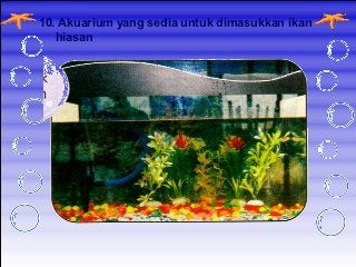 Detail Menghias Gambar Ikan Nomer 30