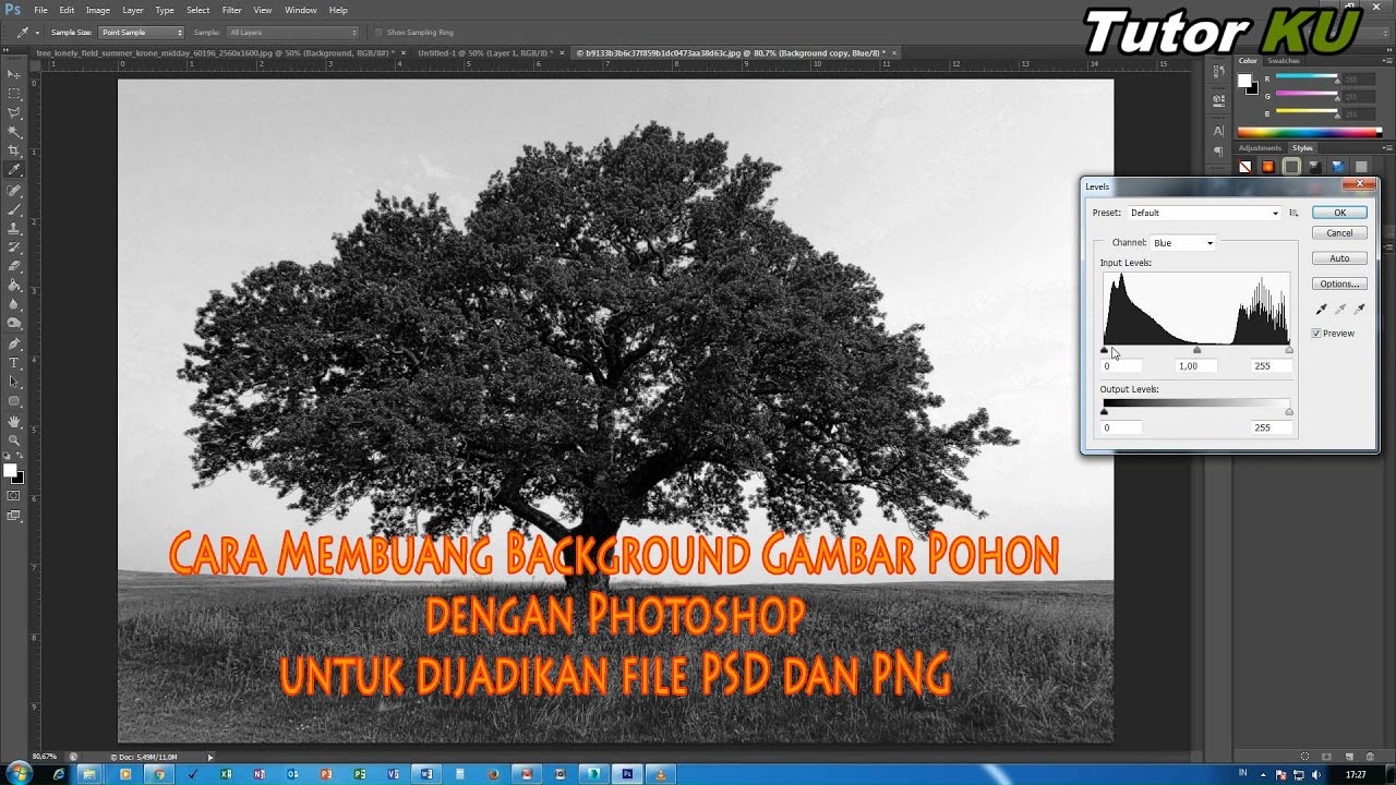 Detail Menghilangkan Background Foto Di Photoshop Nomer 15