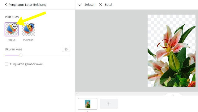 Detail Menghilangkan Background Gambar Nomer 27