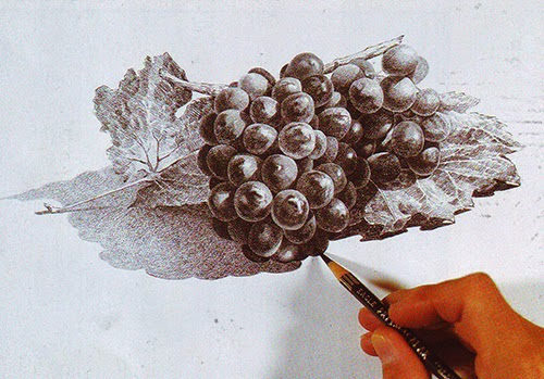 Detail Mengisi Angka Pada Gambar Anggur Nomer 30