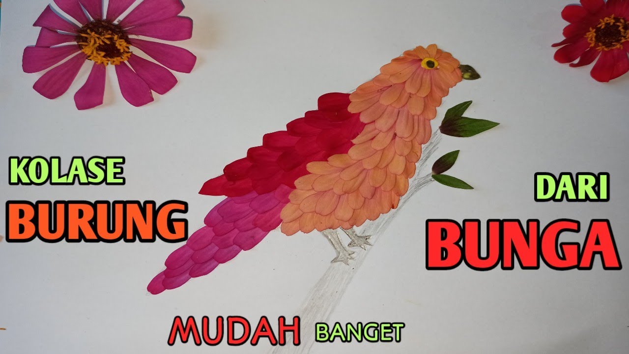 Detail Mengkolase Gambar Burung Nomer 25