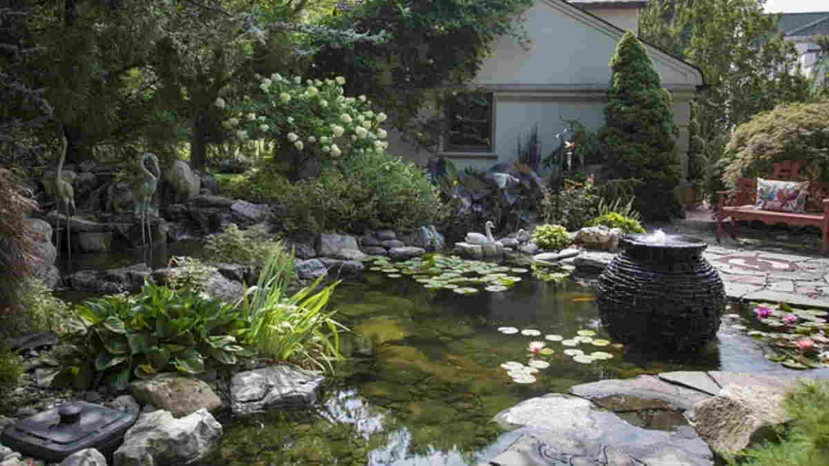 Detail Kolam Taman Belakang Rumah Nomer 36