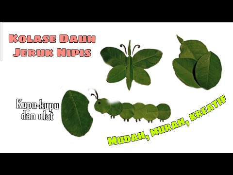 Detail Kolase Dari Daun Nomer 25