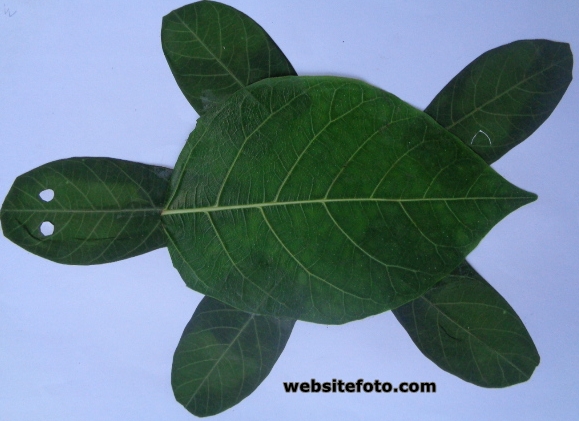 Detail Kolase Dari Daun Nomer 34