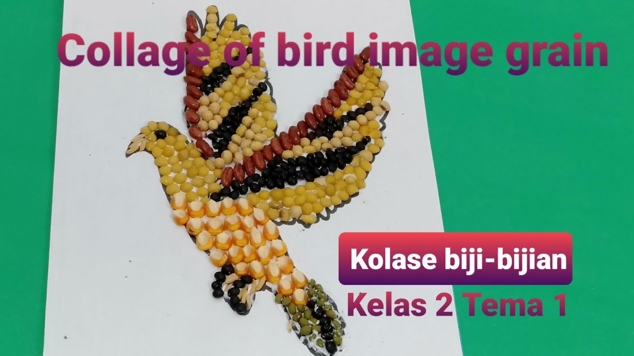 Detail Kolase Gambar Burung Nomer 11