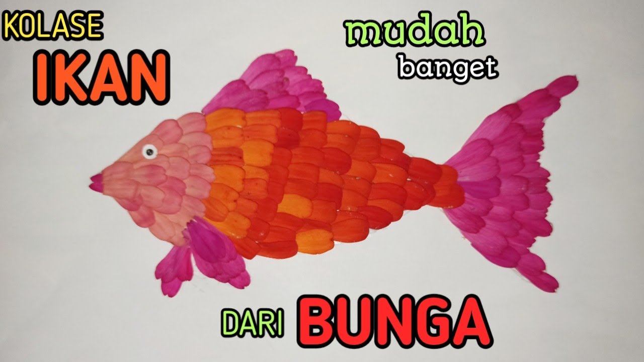 Detail Kolase Gambar Ikan Nomer 32