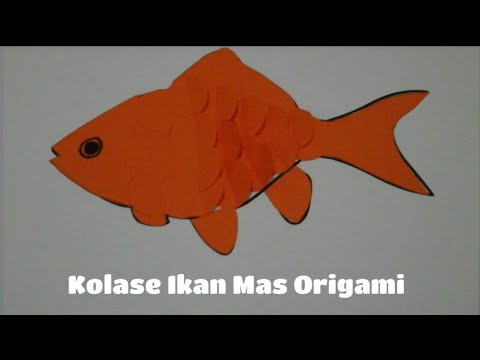 Detail Kolase Gambar Ikan Nomer 55